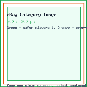 eBay Category Image guide showing the 300 x 300 canvas, edge crop risk, and safe center placement.